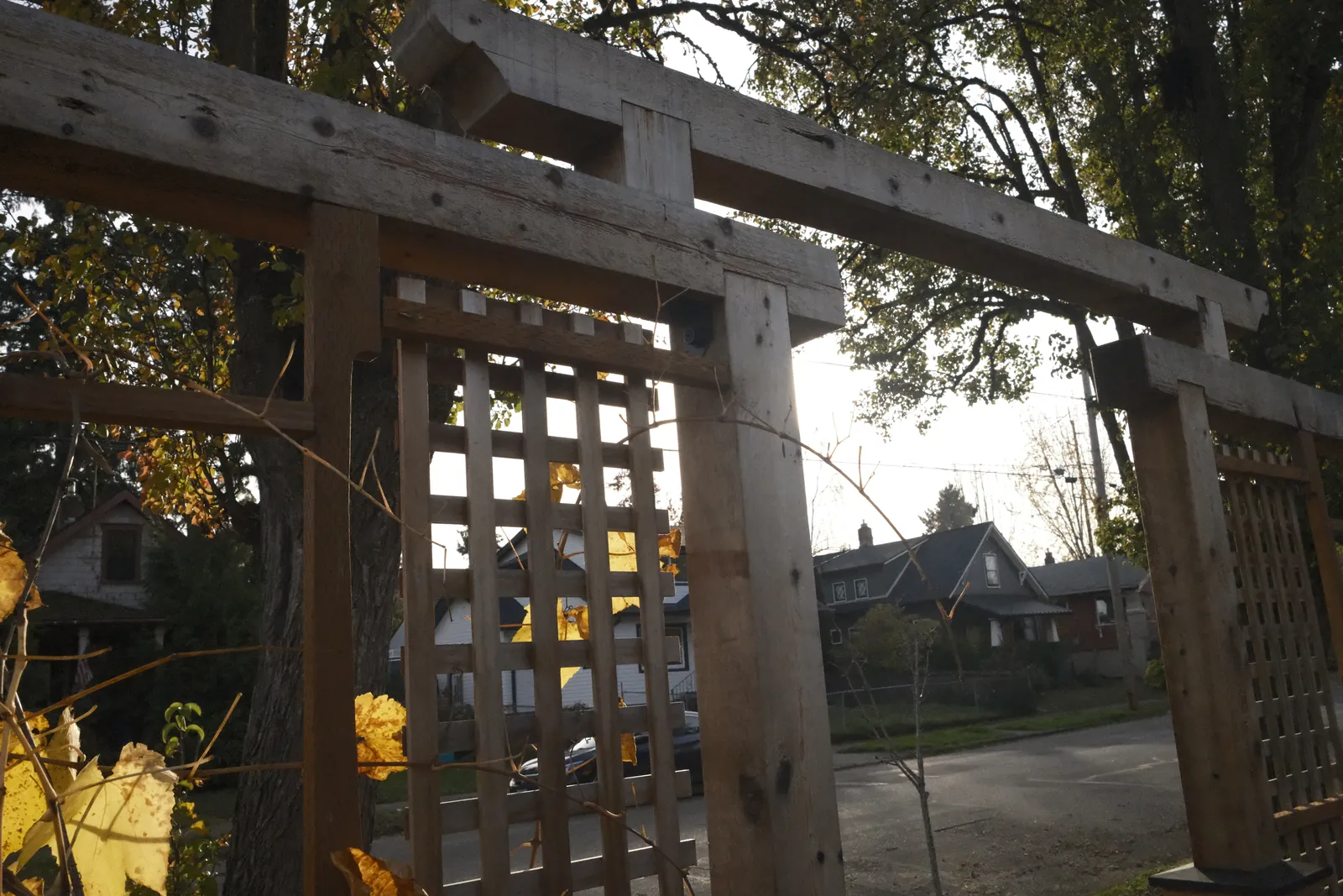 Fence and arbor