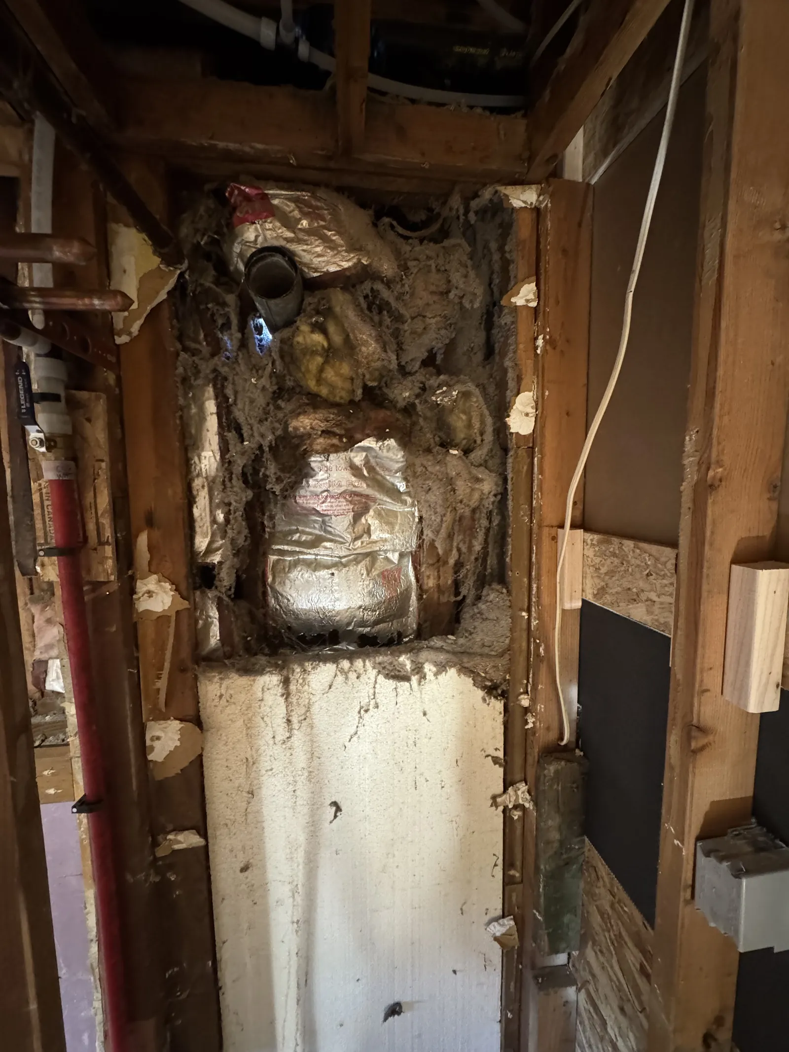 Remodel, before. Rot in the old framing